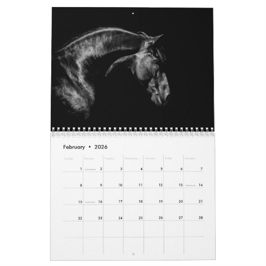 Signature Friesian Stallions Kalender (Feb 2026)