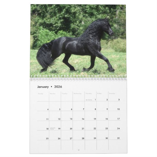Signature Friesian Stallions Kalender (Jan 2026)