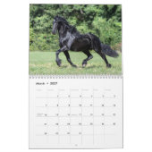 Signature Friesian Stallions Kalender (Mar 2027)