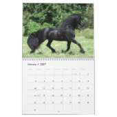Signature Friesian Stallions Kalender (Jan 2027)