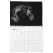 Signature Friesian Stallions Kalender (Feb 2027)