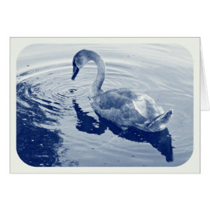 Signet Swan - Digitaal cyanotype