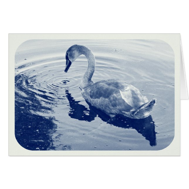 Signet Swan - Digitaal cyanotype (Voorkant Horizontaal)