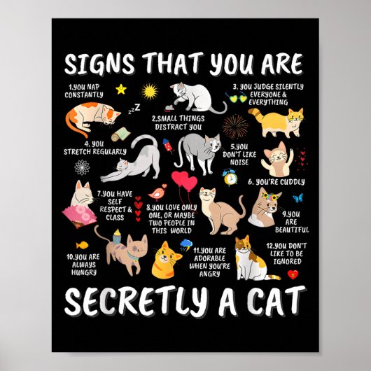 Signs That You Are Secretly A Cat Poster (Voorkant)