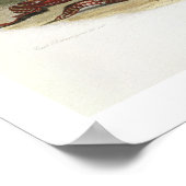 Sih-Chida en Mahchsi-Karehde, Mandan Indians, pla Poster (Hoek)