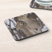 Sika Deer Doe and Young, Hokkaido, Japan Bier Onderzetter (Linkerzijde)