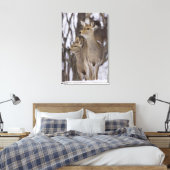Sika Deer Doe and Young, Hokkaido, Japan Canvas Afdruk (Insitu (Slaapkamer))