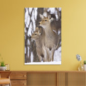 Sika Deer Doe and Young, Hokkaido, Japan Canvas Afdruk (Insitu (Woonkamer))