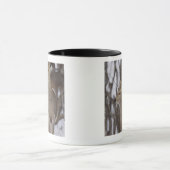 Sika Deer Doe and Young, Hokkaido, Japan Mok (Midden)