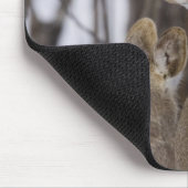 Sika Deer Doe and Young, Hokkaido, Japan Muismat (Hoek)