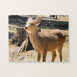 Sika Deer in Nara Park Legpuzzel