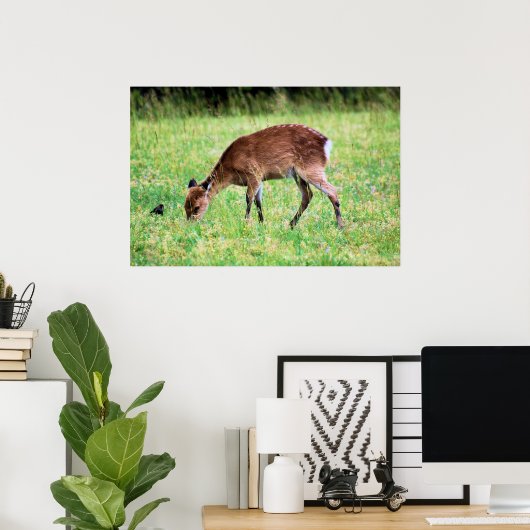 Sika Deer Poster (Thuiskantoor)