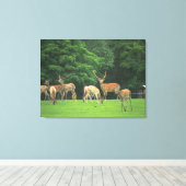 Sika-herten die in de clearing staan canvas afdruk (Insitu (Houten vloer))