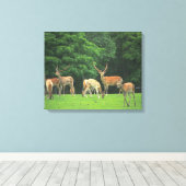 Sika-herten die in de clearing staan canvas afdruk (Insitu (Houten vloer))