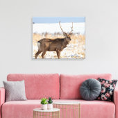 Sika Stag in een sneeuwveld | Japan Canvas Afdruk (Insitu (Woonkamer))