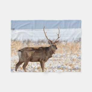 Sika Stag in een sneeuwveld   Japan Fleece Deken
