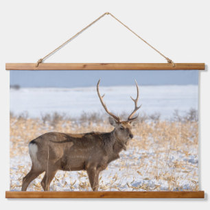 Sika Stag in een sneeuwveld   Japan Hangend Wandkleed