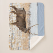 Sika Stag in een sneeuwveld | Japan Sherpa Deken (Voorkant)