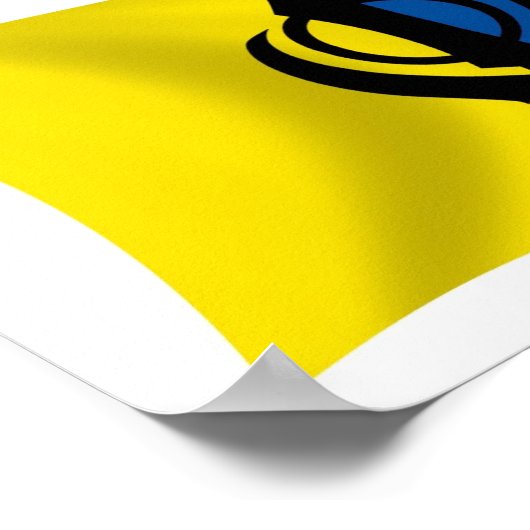 Sikhism Flag Poster Print (Hoek)