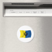 Sikhisme Vlag Magneet (Insitu (Vaatwasser))