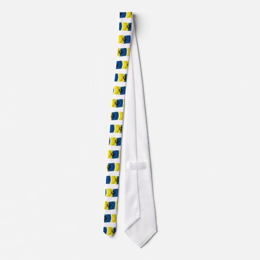 Sikhisme Vlag Stropdas (Achterkant)