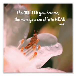 Silence Inspirerend Rumi Quote 8x8 Foto Afdruk