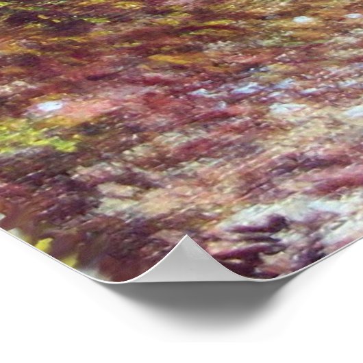 SILENT AUTUMN IN FLORENCE POSTER (Hoek)