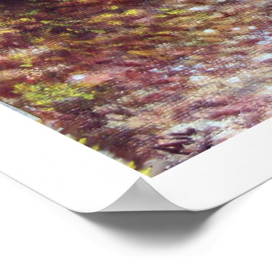 SILENT AUTUMN IN FLORENCE POSTER (Hoek)