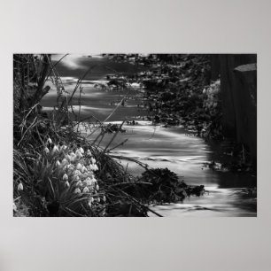 Silent creek poster