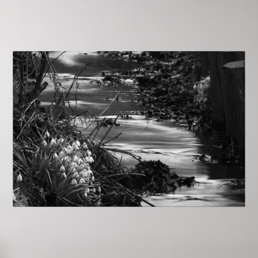 Silent creek poster (Voorkant)