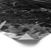 Silent creek poster (Hoek)