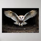 Silent Descent: een kerkuil tijdens de vlucht Poster (Voorkant)