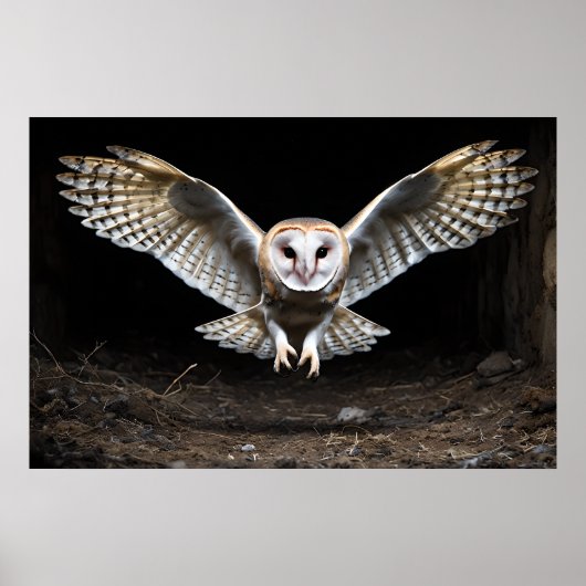 Silent Descent: een kerkuil tijdens de vlucht Poster (Voorkant)