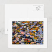 "Silent Drift" Briefkaart (Voorkant / Achterkant)