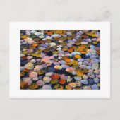 "Silent Drift" Briefkaart (Voorkant)