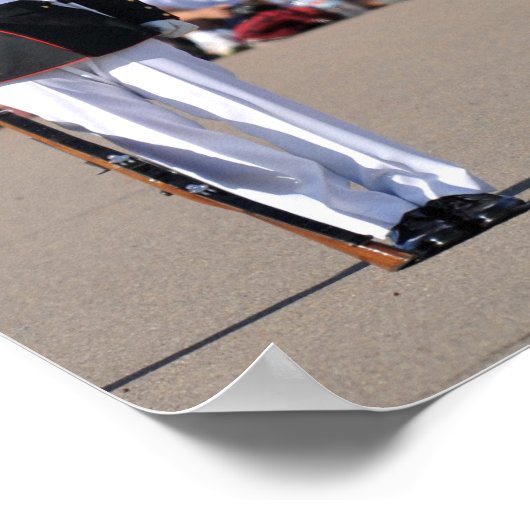 Silent Drill Team Precision-Poster Poster (Hoek)