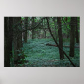 Silent Forest Poster (Voorkant)