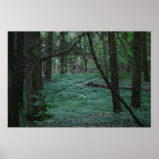 Silent Forest Poster