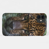 Silent Hunter: The Jaguar Stalks The Forest beroem Case-Mate iPhone Case (Achterkant (horizontaal))