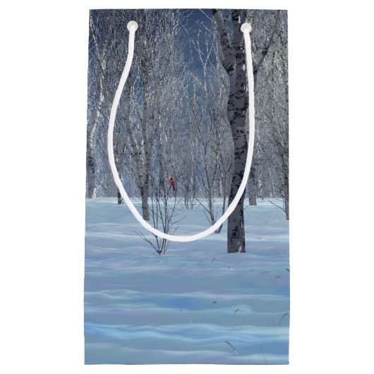 Silent Light Cft-tas Klein Cadeauzakje (Voorkant)