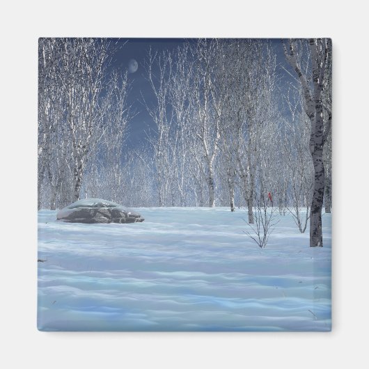 Silent Light Magnet (Voorkant)