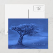 Silent Night briefkaart (Voorkant / Achterkant)