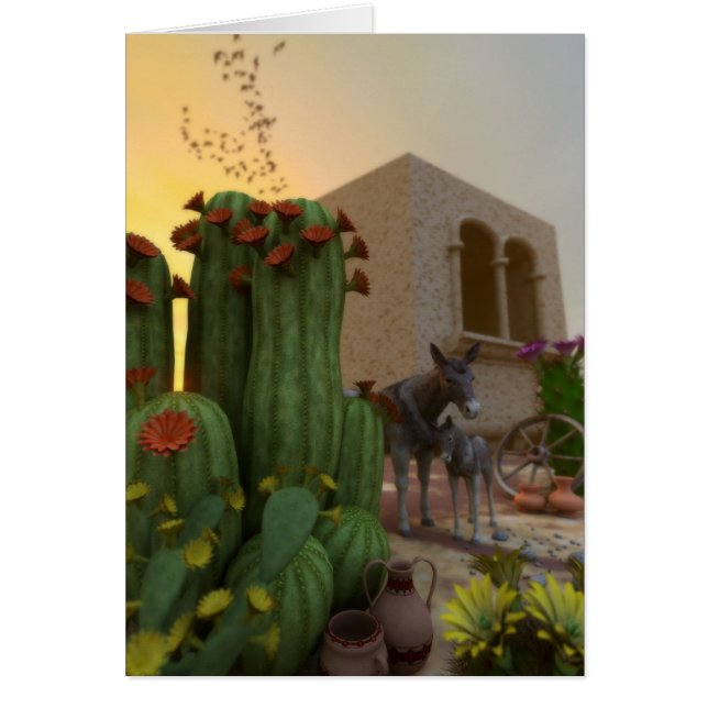 Silent Siesta (Voorkant)