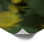 Silent Siesta Poster (Hoek)