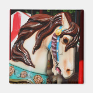 Silent Steed Carrousel Paard Fotografie Magneet