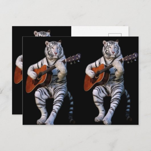 Silent Strings – Elegant Postcard Briefkaart (Voorkant / Achterkant)