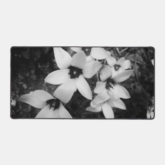 Silent Symmetry Bureaumat