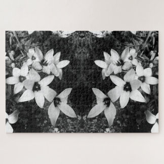 Silent Symmetry Legpuzzel