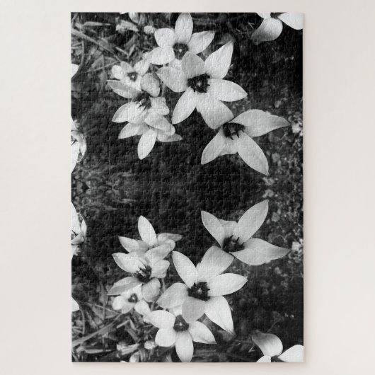 Silent Symmetry Legpuzzel (Verticaal)