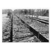Silent Tracks 7 x5 zwart-wit fotografische printer Foto Afdruk (Voorkant)